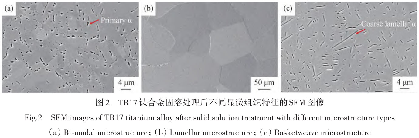 1716173663733615.jpg t2.jpg