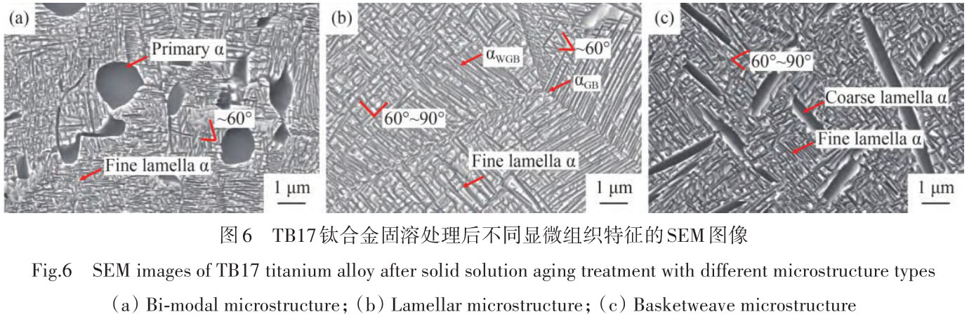 1716173737311571.jpg t6.jpg
